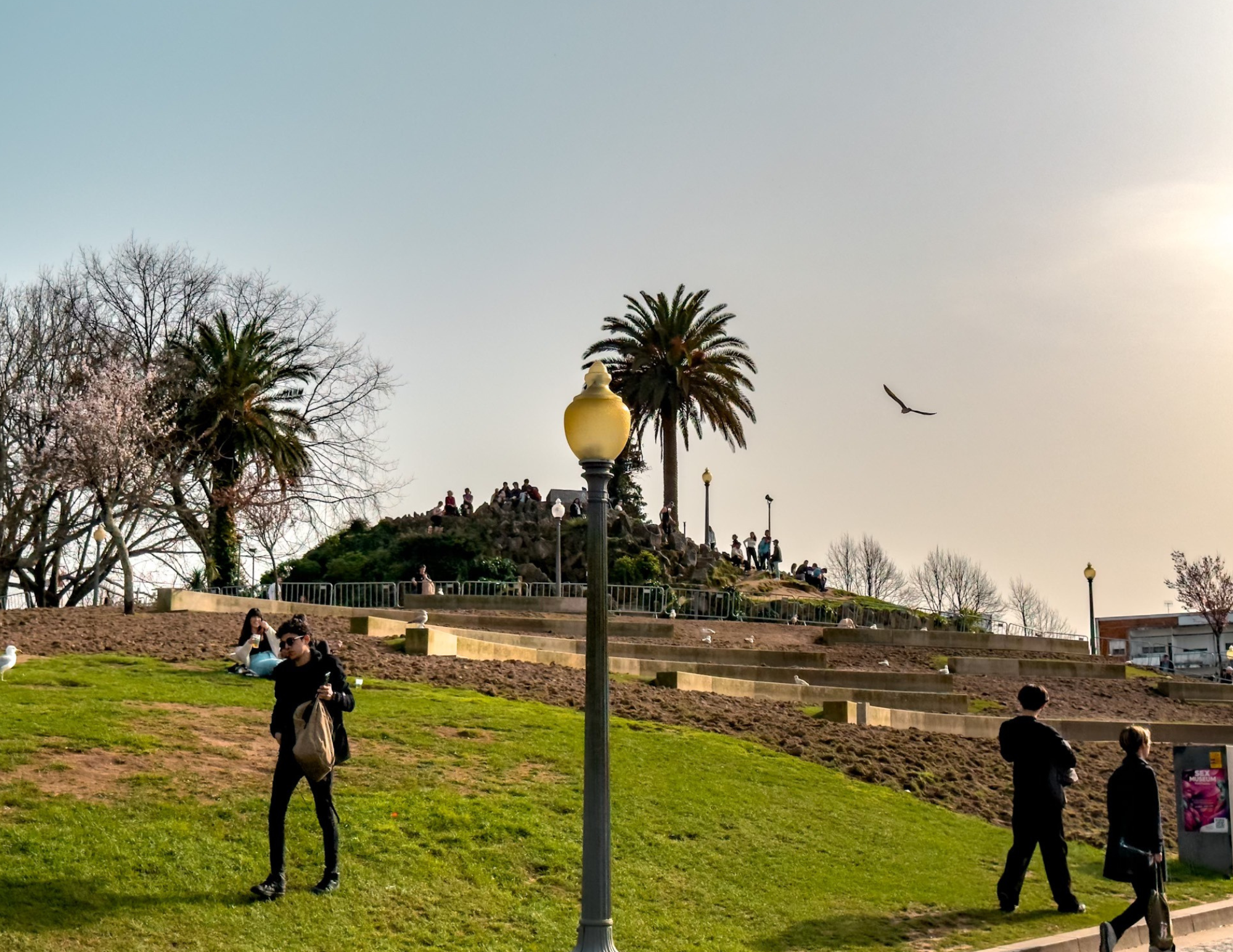 Porto Travel Tips (2).png